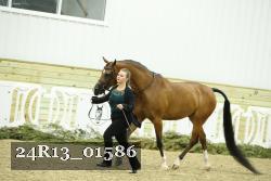 24R13_01586 thumbnail
