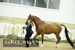 24R13_01587 thumbnail