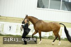 24R13_01588 thumbnail
