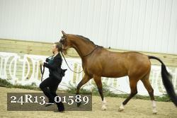24R13_01589 thumbnail