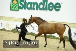 24R13_01591 thumbnail