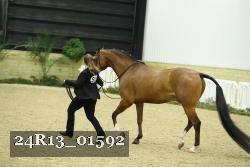 24R13_01592 thumbnail