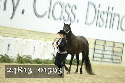 24R13_01593 thumbnail