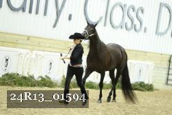 24R13_01594 thumbnail