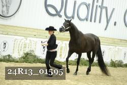 24R13_01595 thumbnail