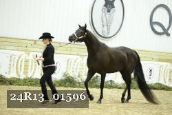 24R13_01596 thumbnail