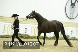 24R13_01597 thumbnail