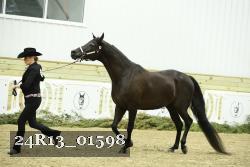 24R13_01598 thumbnail