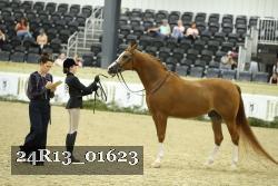 24R13_01623 thumbnail