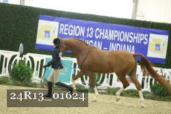 24R13_01624 thumbnail