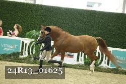 24R13_01625 thumbnail