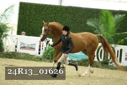 24R13_01626 thumbnail
