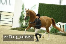 24R13_01627 thumbnail
