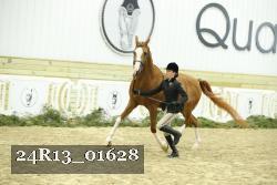 24R13_01628 thumbnail