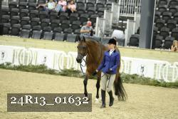 24R13_01632 thumbnail
