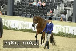 24R13_01633 thumbnail