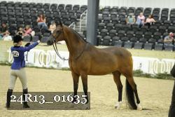 24R13_01635 thumbnail
