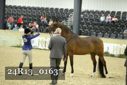 24R13_01637 thumbnail