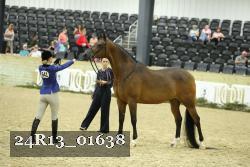 24R13_01638 thumbnail