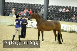 24R13_01639 thumbnail