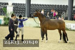 24R13_01640 thumbnail