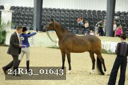 24R13_01643 thumbnail
