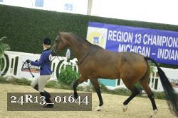 24R13_01644 thumbnail
