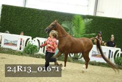 24R13_01671 thumbnail