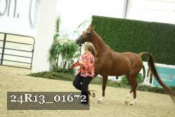 24R13_01672 thumbnail