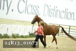 24R13_01673 thumbnail