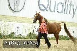 24R13_01674 thumbnail