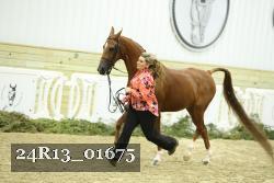 24R13_01675 thumbnail