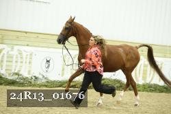 24R13_01676 thumbnail