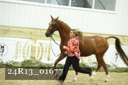 24R13_01677 thumbnail