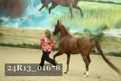 24R13_01678 thumbnail