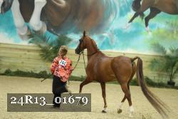 24R13_01679 thumbnail