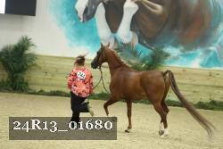 24R13_01680 thumbnail