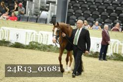 24R13_01681 thumbnail