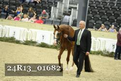 24R13_01682 thumbnail