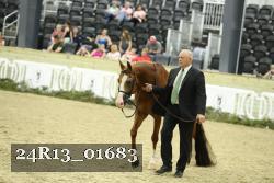 24R13_01683 thumbnail