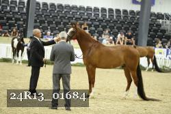 24R13_01684 thumbnail