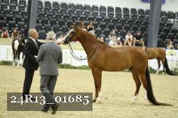 24R13_01685 thumbnail