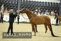 24R13_01689 thumbnail