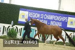 24R13_01693 thumbnail