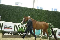 24R13_01694 thumbnail