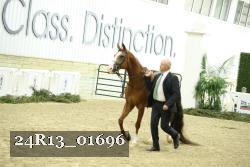 24R13_01696 thumbnail