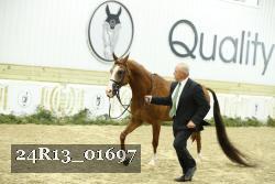24R13_01697 thumbnail