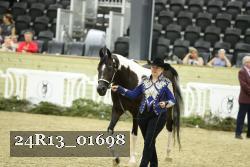 24R13_01698 thumbnail