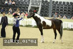 24R13_01704 thumbnail