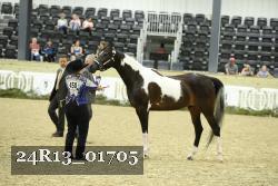 24R13_01705 thumbnail
